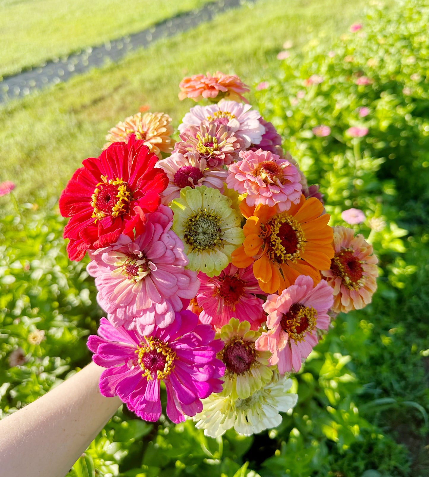 2026 Full Summer Flower Subscription (8 bouquets)