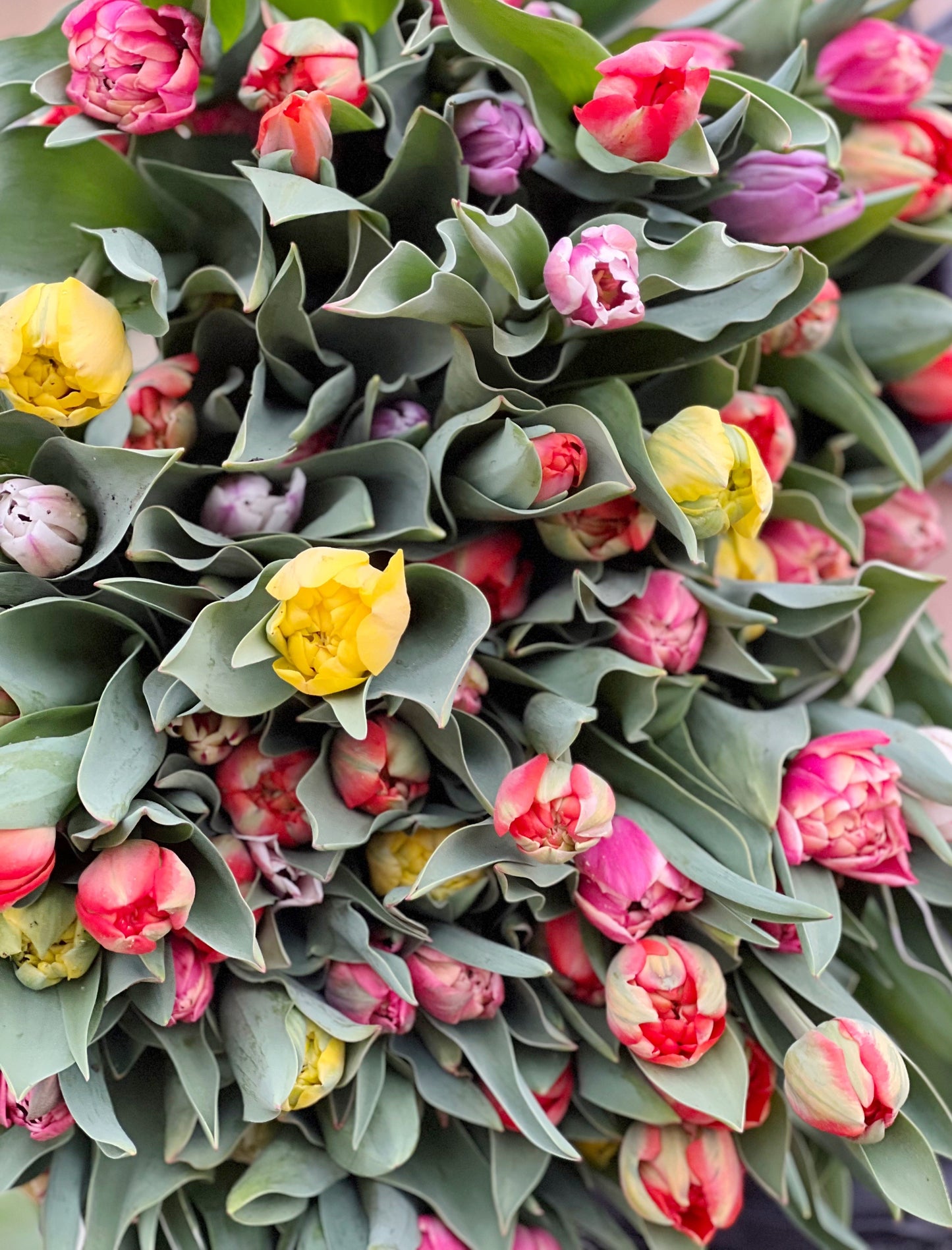 2026 Spring Flower Subscription (6 Bouquets)