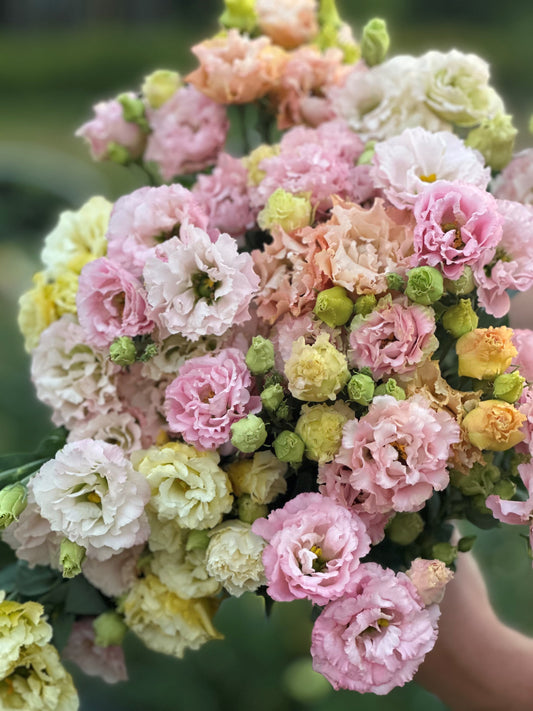 2026 Full Season Subscription (20 bouquets)