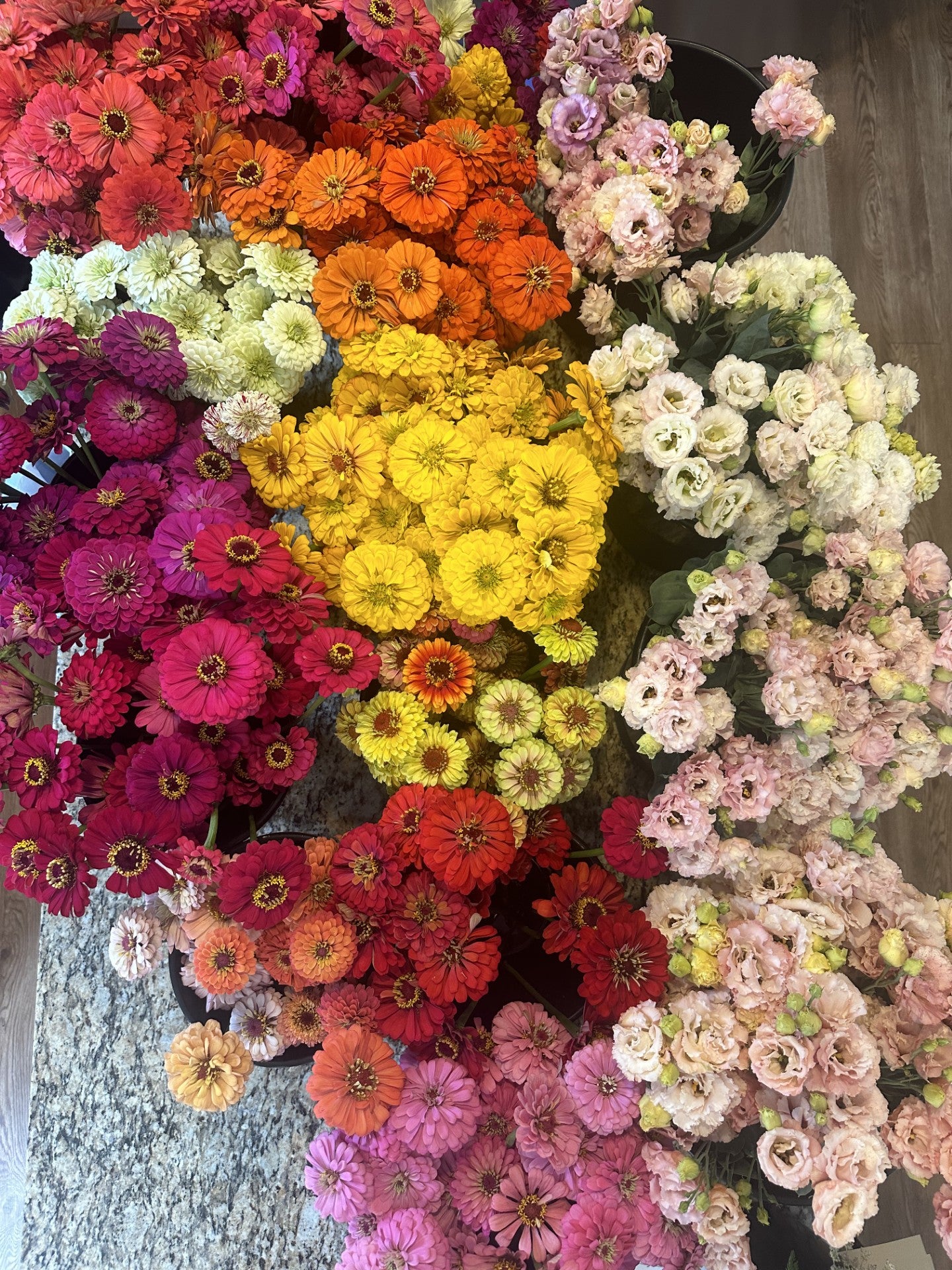 2026 Full Season Subscription (20 bouquets)