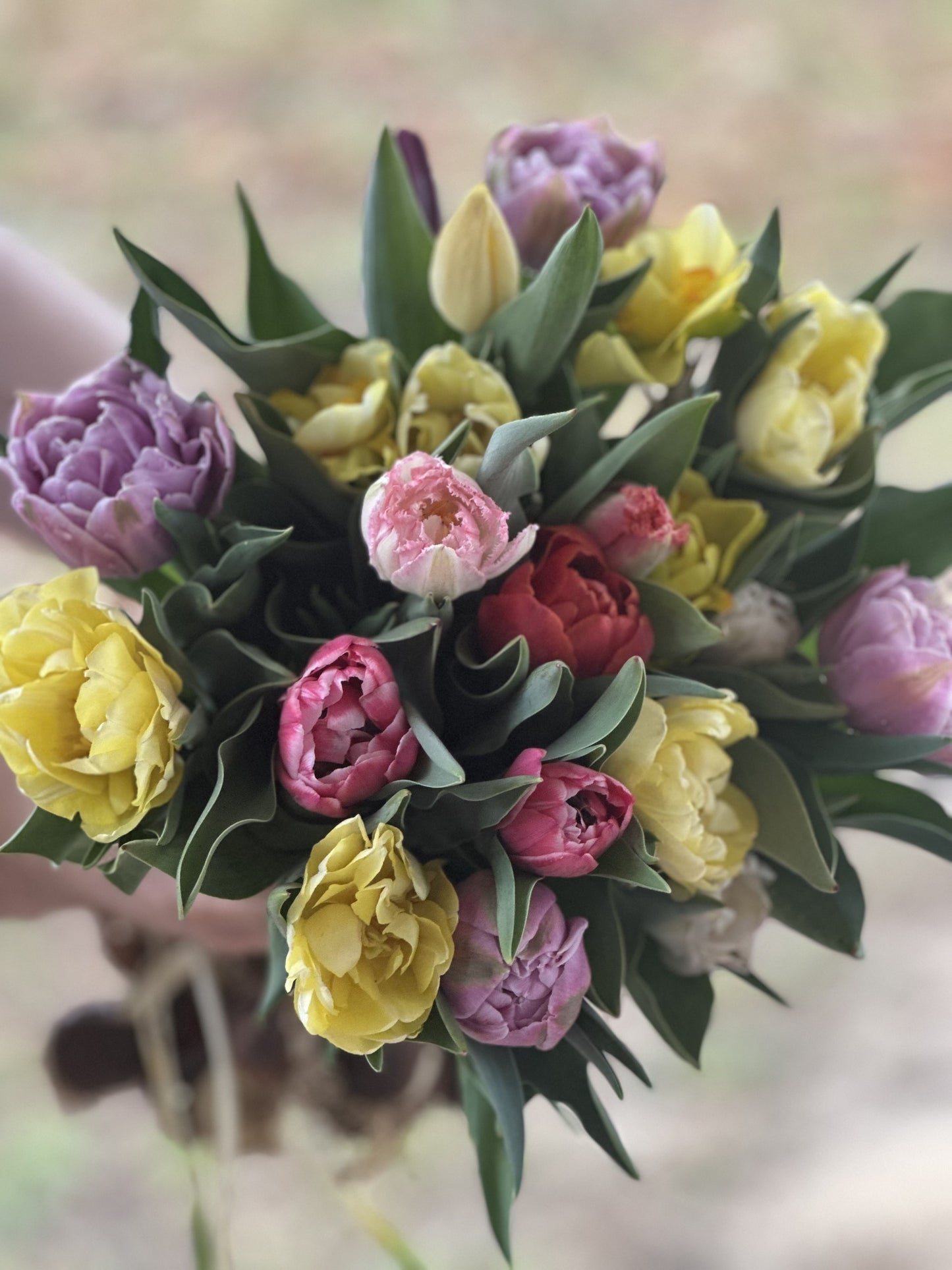 2026 Spring Flower Subscription (6 Bouquets)