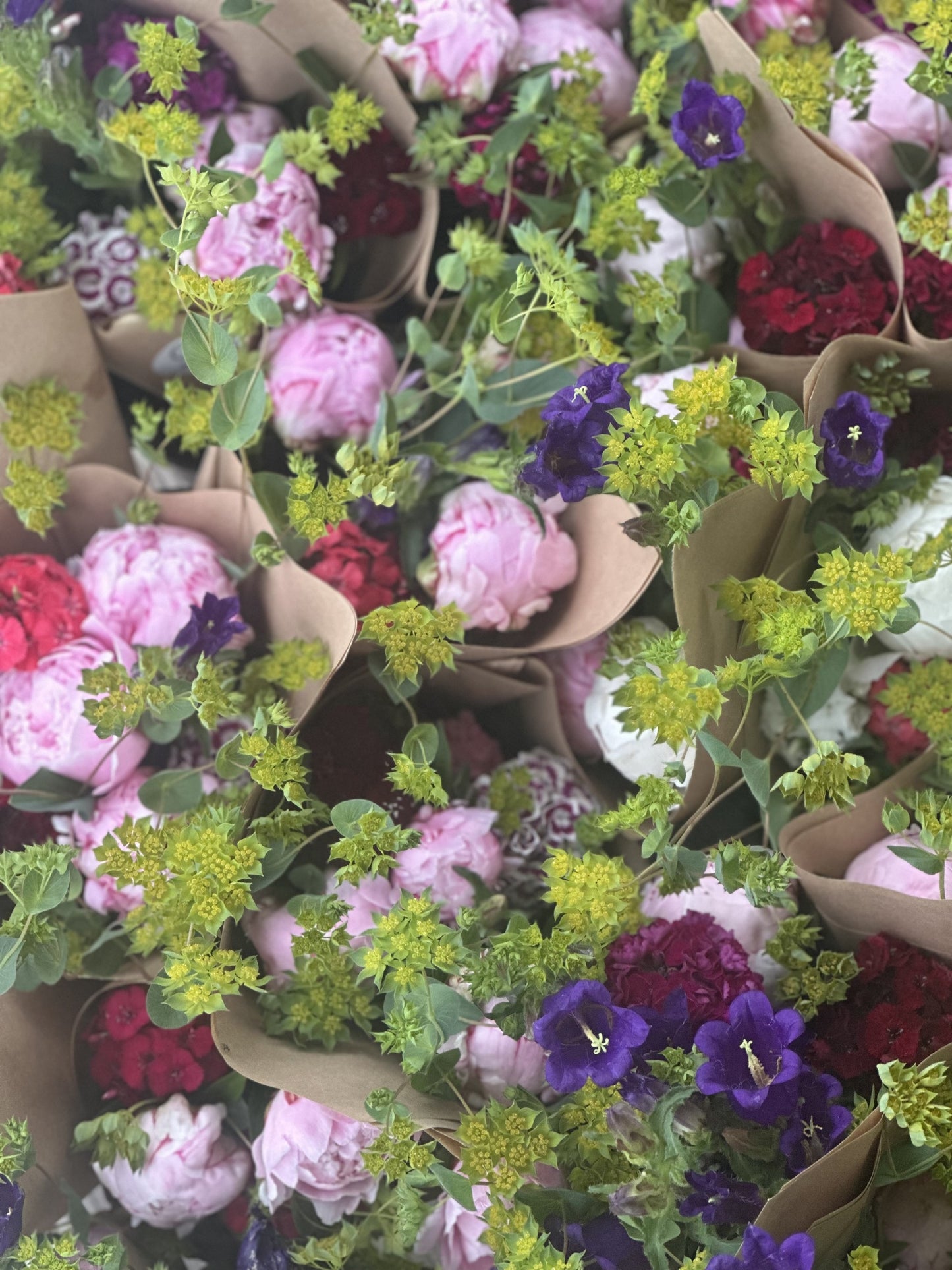 2026 Spring Flower Subscription (6 Bouquets)