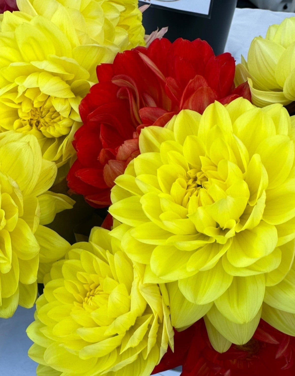 2026 Full Season Subscription (20 bouquets)