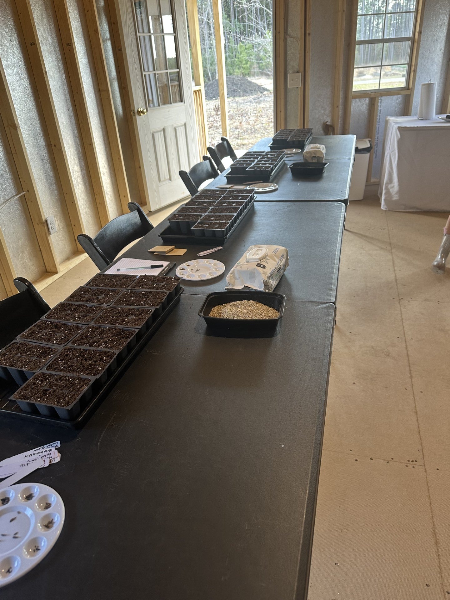 From Seeds to Stem: A Hands On Flower Class